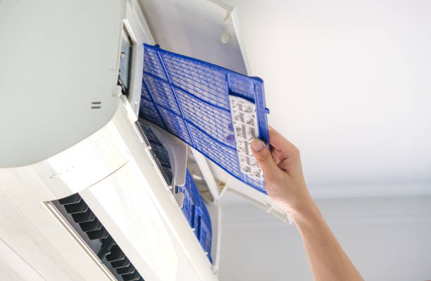 Best Air Duct Sanitizing Services  in Savannah, TX